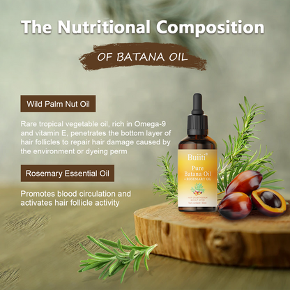 Buiiti Batana & Rosemary Hair Growth Oil for Men & Women -  Improve scalp health&Promotes Healthy Hair Growth, Hair Products, Scalp Health Boost